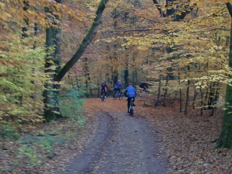 Wilseder Berg 1 2010 036